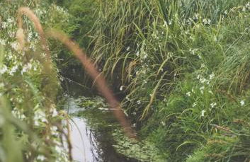 Moulin du Roz - Foto 18