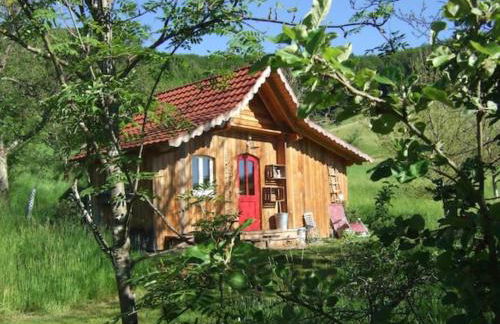 Sonniges-naturnahes-Schwarzwald-Ferienhaeuschen - Foto 1