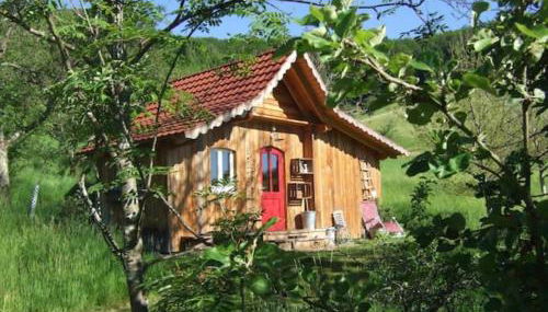 Sonniges-naturnahes-Schwarzwald-Ferienhaeuschen - Foto 1