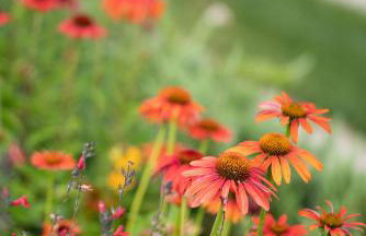 Dimensione Armonica - Elegance and comfort among lakes and hills - Foto 34