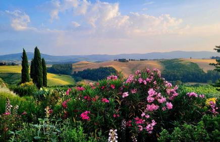 Podere Cunina - Foto 56