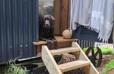 Cornwall Woodland Shepherd's Hut with Hot Tub - Deirdres Hut - Foto 7