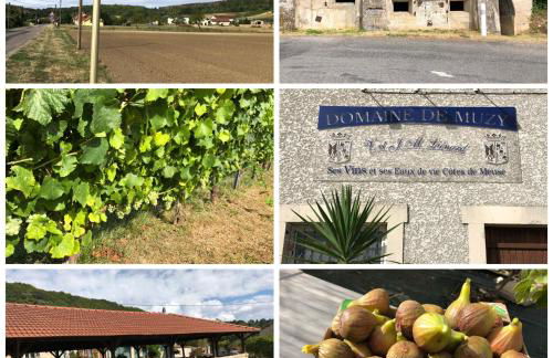 Gîte des Vignes à Viéville-sous-les-Côtes Escapade nature et patrimoine Meuse - Foto 26