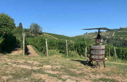 Cadgal - Tenuta Valdivilla - Photo 7