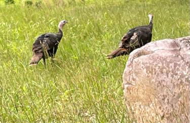 Hideaway Hot Tub Sunna Lake Kayaks Pool - Foto 16