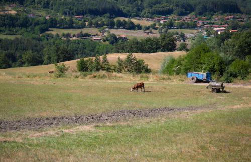La Casina del Teso - Foto 19