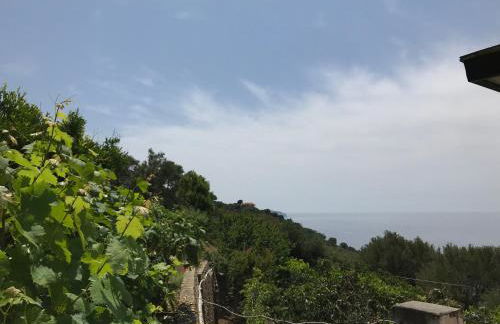 La Casa del Maestro Attico - Photo 54