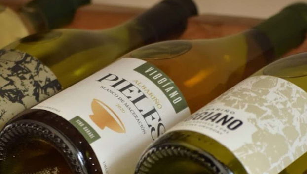 Degustación de quesos y vinos en Colonia del Sacramento - Foto 4