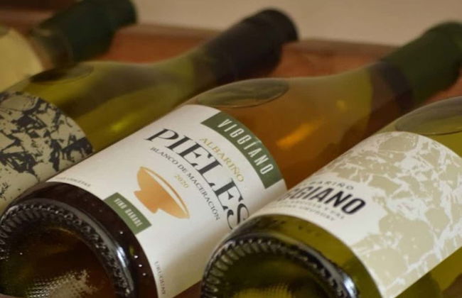 Degustación de quesos y vinos en Colonia del Sacramento - Foto 4