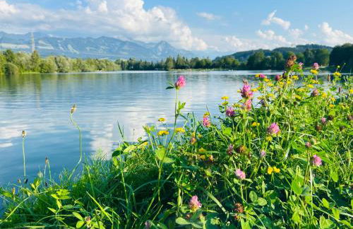 BerglerNest - Apartment mit Bergblick! - Foto 25