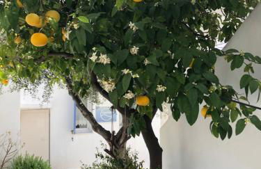 Aeolos Apartments - Photo 18