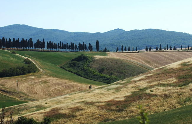 Agriturismo Signorini - Foto 30