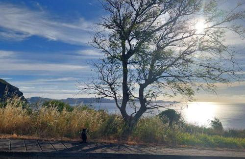 Viewpoint Machico - Lovely Nature View - Foto 17
