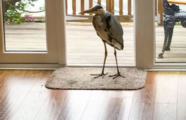 Host Stay Quayside Cottage - Photo 12