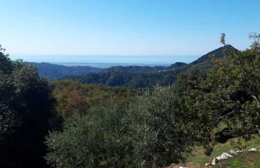 Casa Zita dei fiori - Foto 46