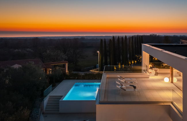 Old Olive I - Foto 38