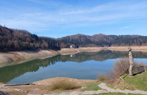 Holiday home in Delnice - Gorski Kotar 43959 - Foto 10
