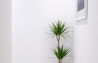 Bed & Garage Apartment in Villa - Photo 25