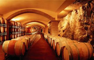 Capannelle Wine Resort - Foto 14