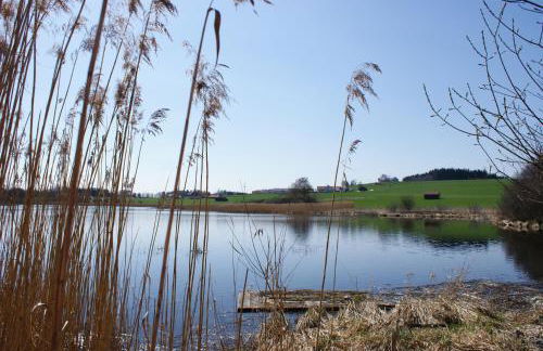 Bauer Haug - Foto 19