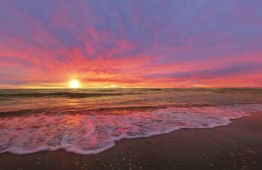 Studio situé à 20 metres de la plage d Agosta Porticcio - Photo 18