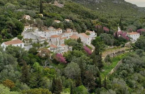Páteo da Memória Casa do Pintor - Foto 40