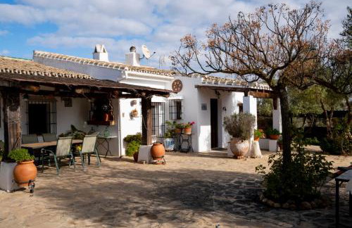 Casa de Campo La Mejorana Refugio entre olivos sin renunciar al confort - Foto 5
