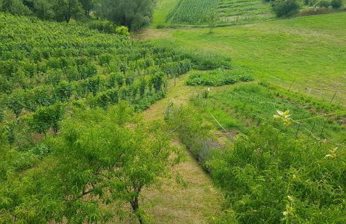 Apartman 2 - Foto 37