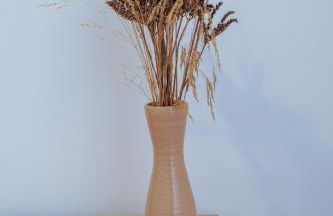 Alojamientos Citrus El Valle - Foto 34