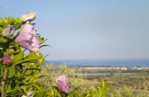 Tenuta Agrituristica Castellesi - Foto 34