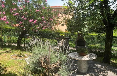 Apartment Elisabetta - GLA116 by Interhome - Foto 14