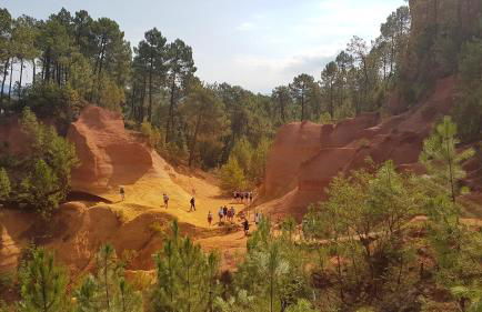 nid2nuit Nuance d'Ocres - Photo 17