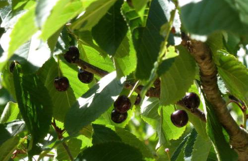 Viviendas Rurales Aldea de Dosamantes - Photo 51