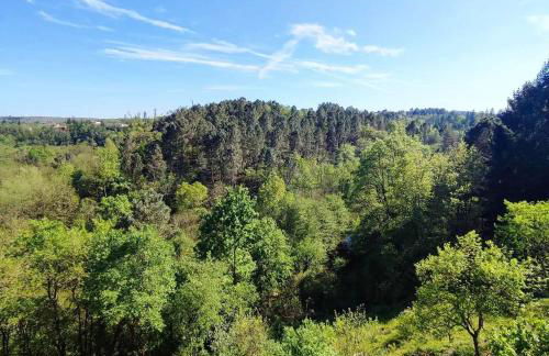 Clède lovée dans la forêt, sauna & bain nordique - Foto 19