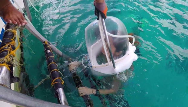 Preparada para a imersão