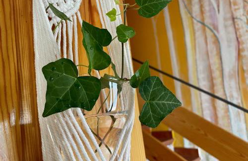 Espejo del Tiétar - La comodidad de baños en suite - Foto 71