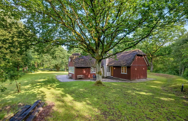 "Fina" - 15km from the sea - Foto 18