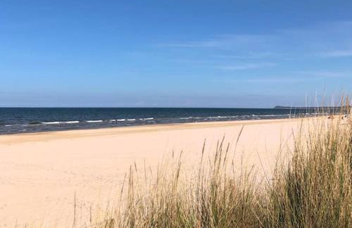 Bungalow im Kiefernwald direkt an der Ostsee (a) - Foto 6