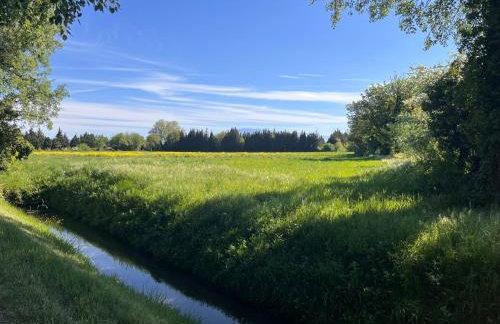 Gîte The Butterfly - 1 bedroom and mezzanine - Photo 19