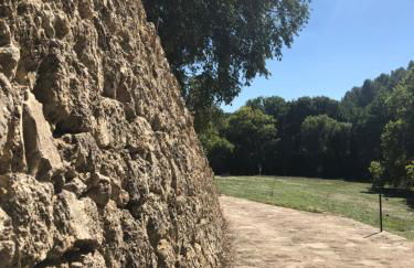 L'Olivier Fleurie Barjols - Foto 53