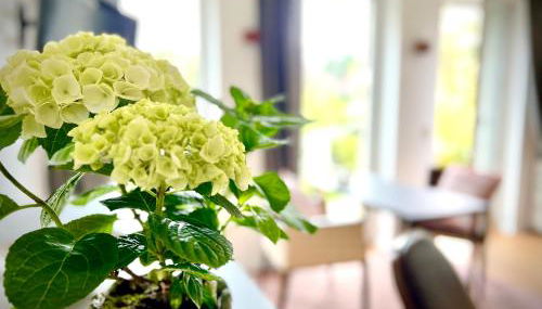 Stadtnah und ruhig - Foto 2