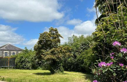 Annsborough House Castlewellan - Foto 42