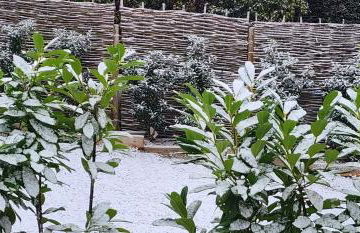 Barn on the Wolds, Yorkshire - Foto 7