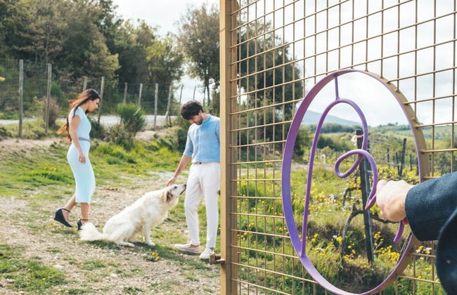 Podere Montale Il Borgo - Photo 61