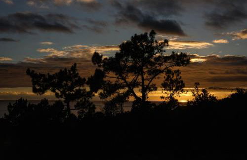 Casas do Amarelo - Photo 30