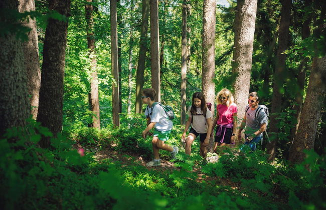 Relaxed Urban Living - Photo 17