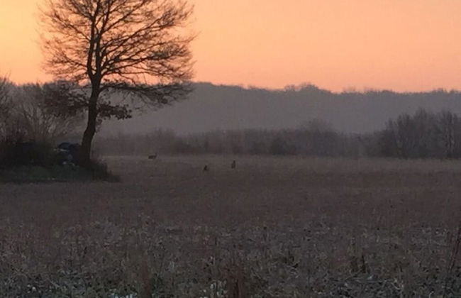 Nordgluck Modern Retreat - Photo 12