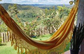 Chácara Recanto Vista Verde - 20 minutos do Plano Piloto - Foto 2