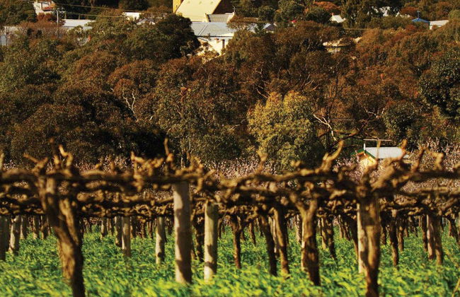 Hop On Hop Off Wine Bus - Photo 7