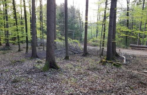 Romantik Ferienwohnung am Tor zum Allgäu - Foto 32